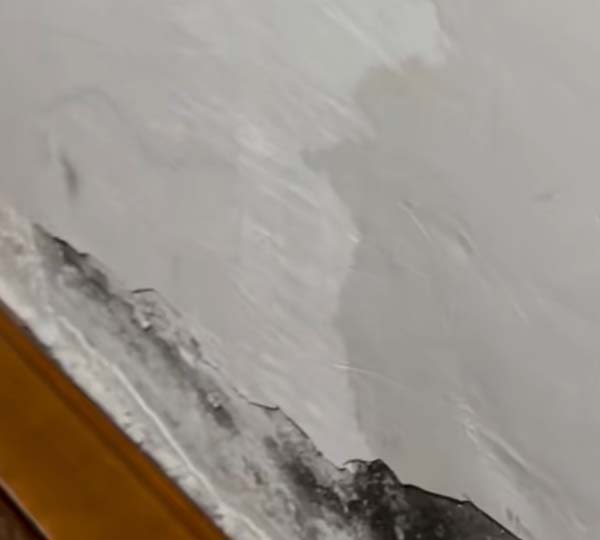 牆壁漏水不處理會怎樣？香港住宅拖延維修的隱藏風險